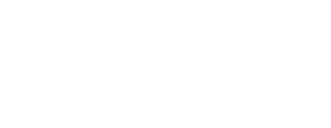 logo sdv