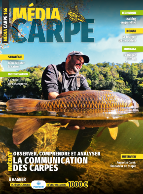 magazine media carpe