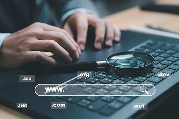 Illustration de la page : S-Domaines, la solution de gestion complète de vos noms de domaine