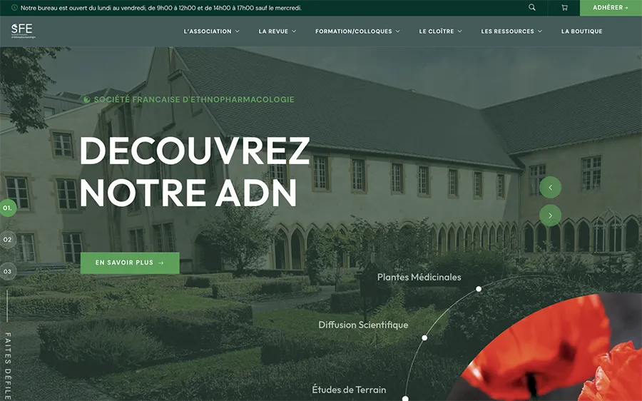 Illustration : home page du site ethnopharmacologia